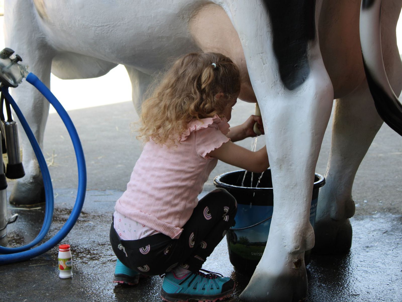 Emma auf Hoftour, pour faire découvrir la ferme aux enfants