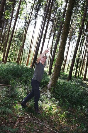 Waldökologe steht im Wald und zeigt auf einen Baum