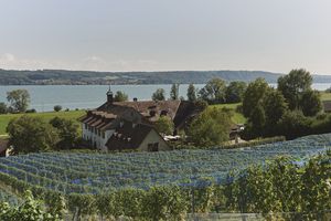 Hotel und Rebgut auf der St. Petersinsel, die Teil des Grundbesitzes der Burgergemeinde Bern sind.