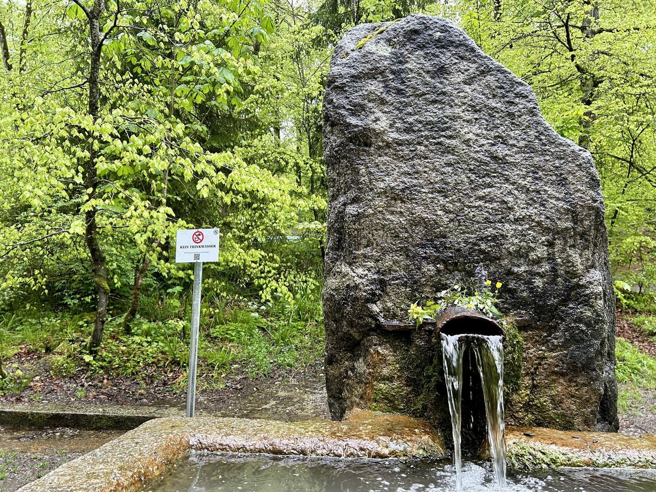 Glasbrunnen im Bremgartenwald