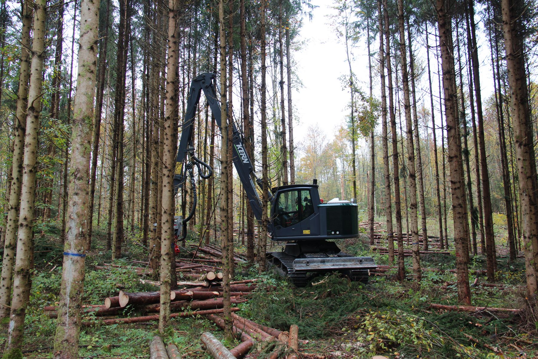 Waldarbeiten mit einem Fahrzeug