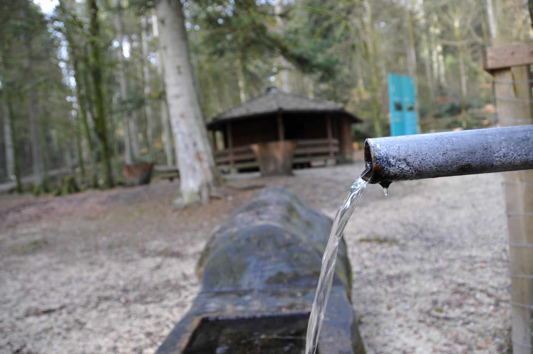 Aussenansicht der Waldhütte Sädelbach mit Brunnen